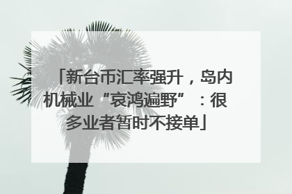 新台币汇率强升，岛内机械业“哀鸿遍野”：很多业者暂时不接单